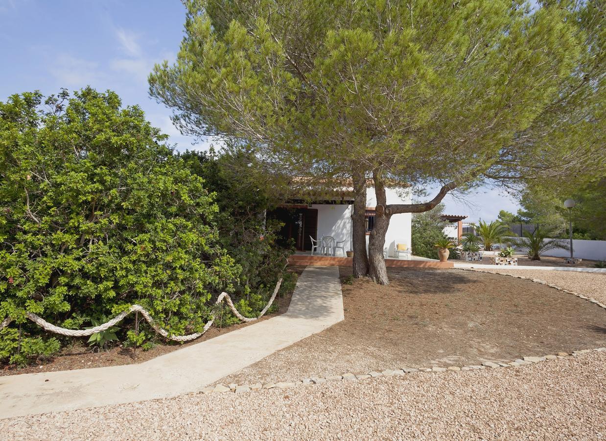 Viviendas Olivos - Formentera Break Vakantiehuis Playa Migjorn